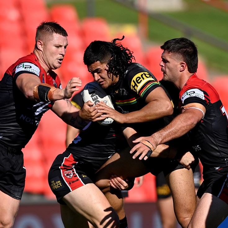 NSW Cup Panthers fall to Bears